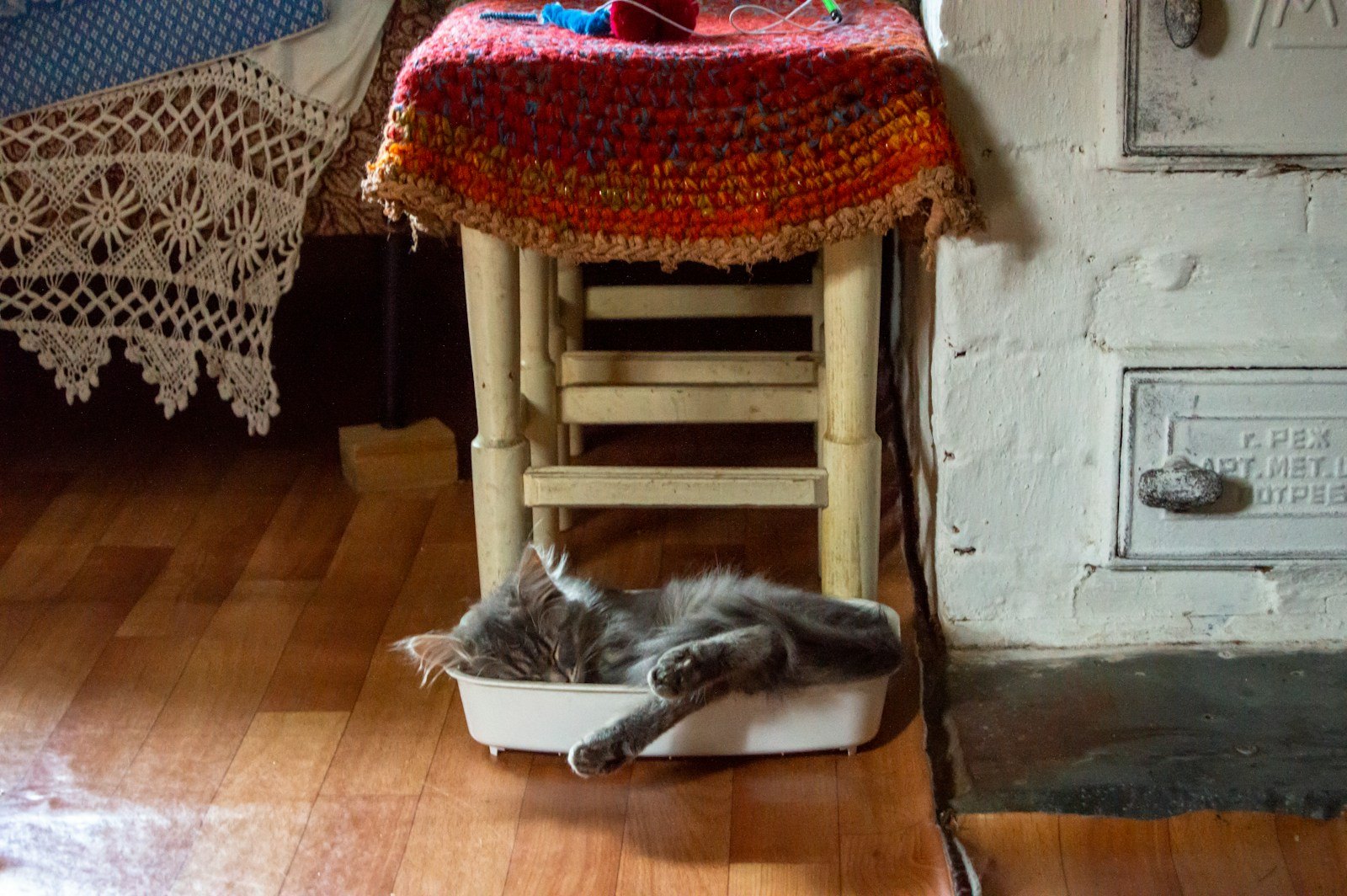 Un gato tumbado junto a su arenero de plástico en el suelo de casa