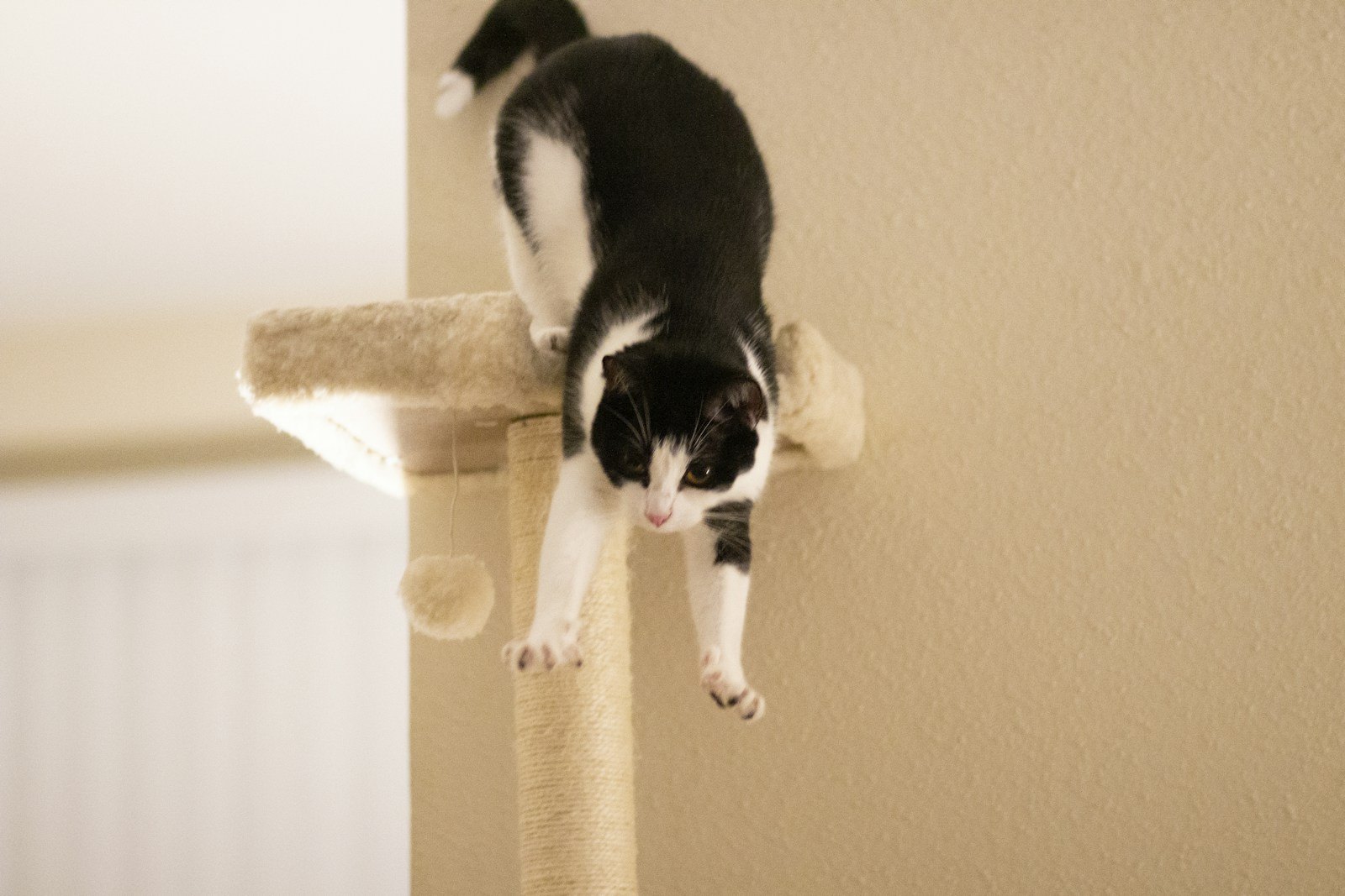 麻素材のキャットタワーの支柱で体を伸ばす白黒猫