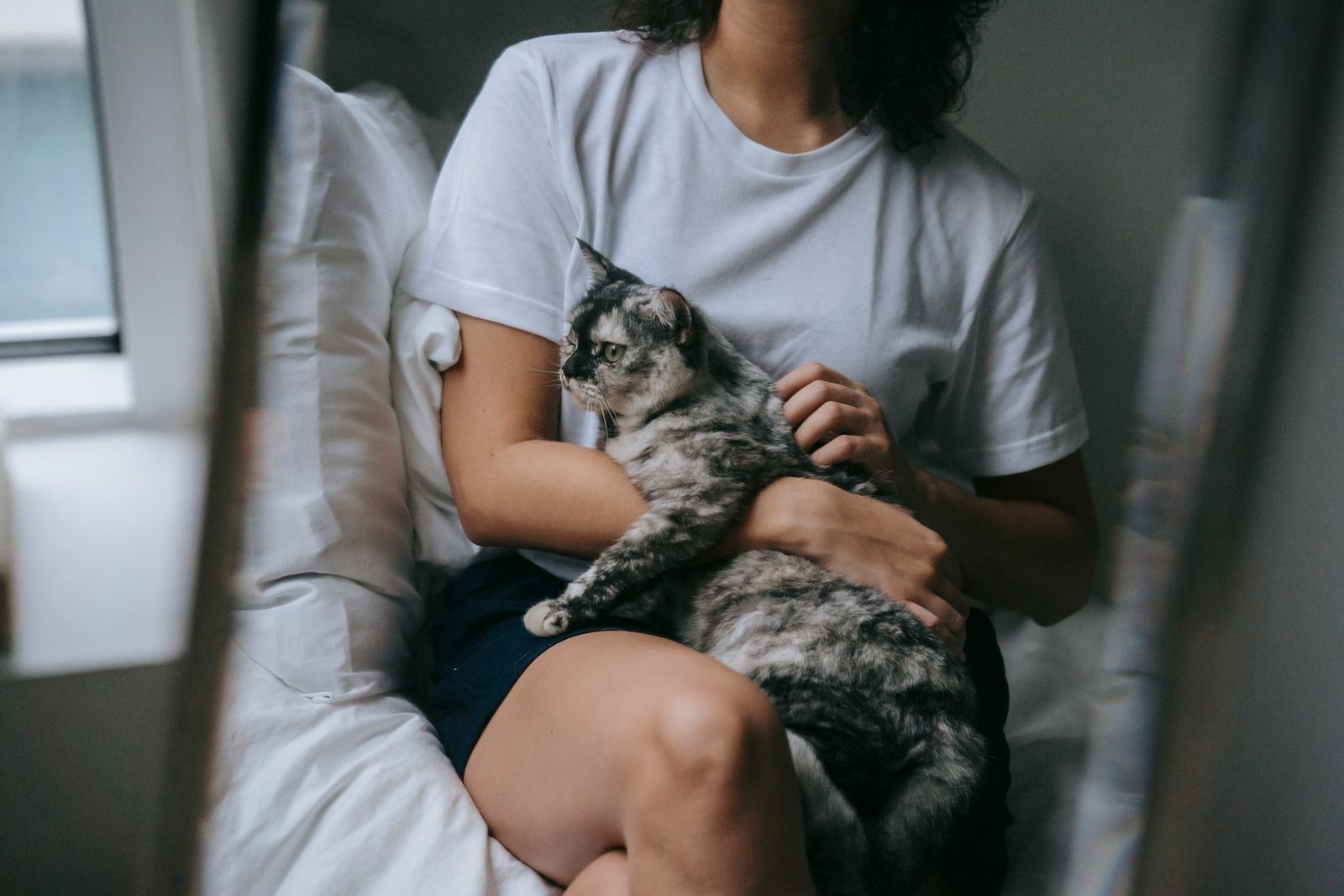 En person klappar sin katt i famnen hemma