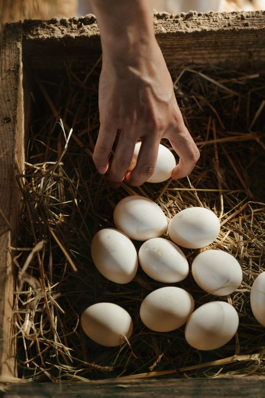 Ägg, ett enkelt sätt att lägga till protein i en proteinfattig frukost